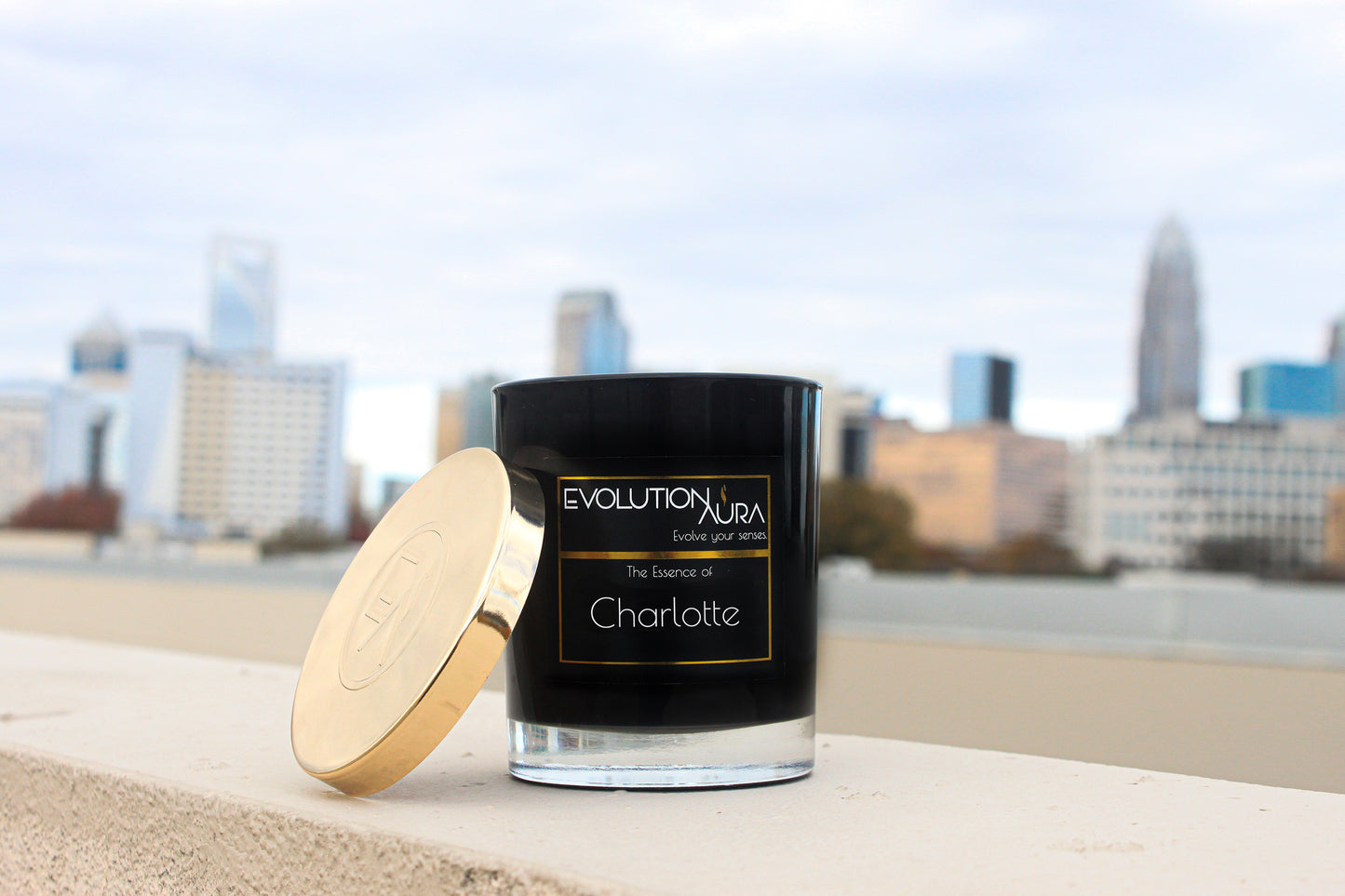 The Essence of Charlotte
